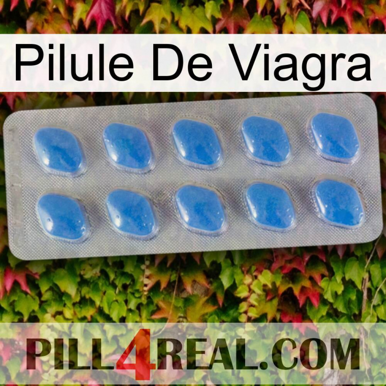 Viagra Pill 22